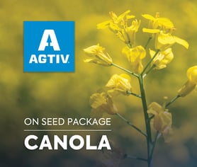 AGTIV Canola on seed