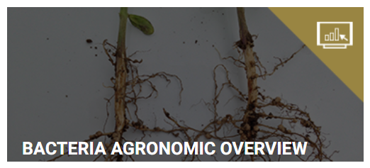 Bacteria agronmic resource cover-LP